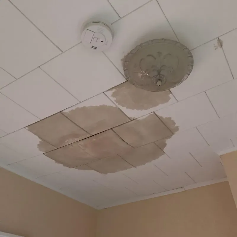 Ceiling Water Damage Repair in Fernway, PA