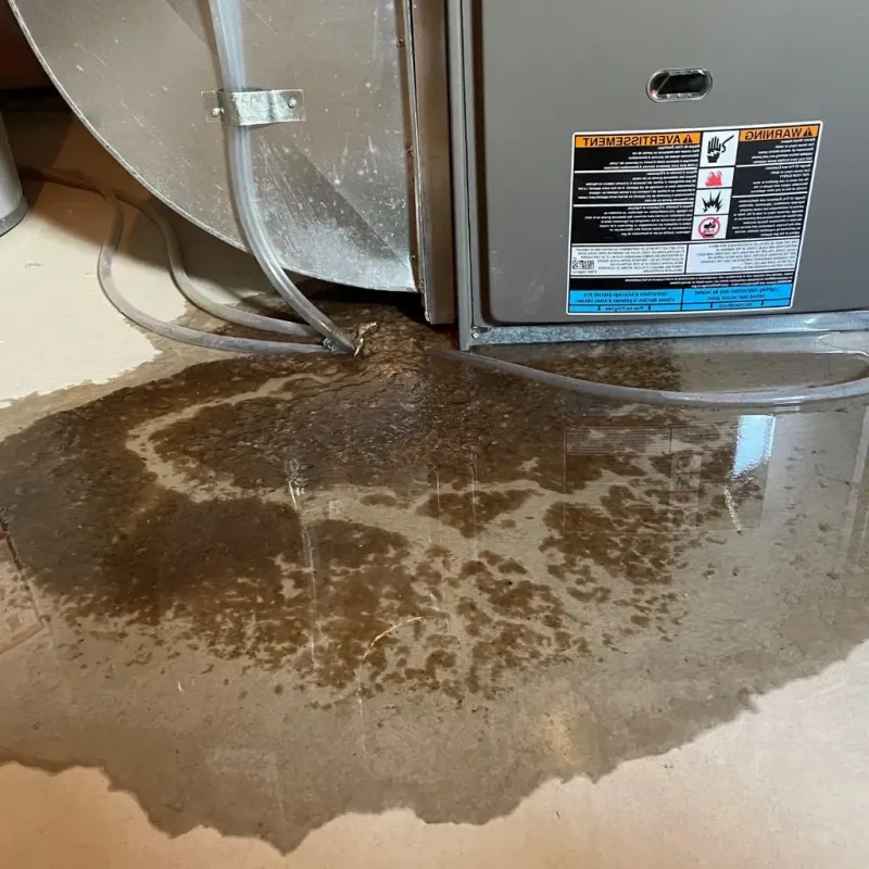 Pipe Burst and Leak Restoration in Fernway, PA